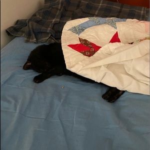 Meet your Posher, Susie